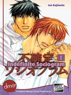 cover image of Indefinite Sociogram, Volume 1